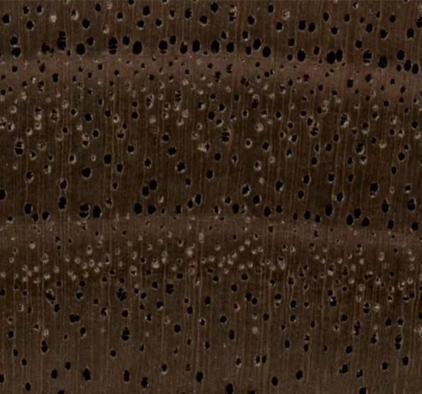4e740000e932221c75c6.jpg